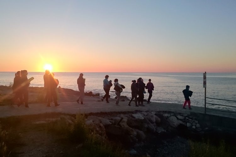 Yoga und Meditation am Meer: Yogaferien auf Mallorca